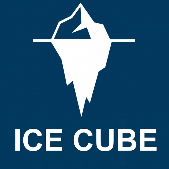 ICE CUBE ZX-6 Termal Macun 8Gr
